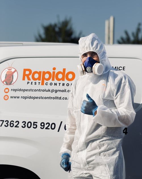 Professional Pest Control Technicians in London