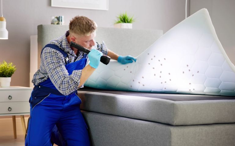 Best Bed Bug Spray Does It Really Work